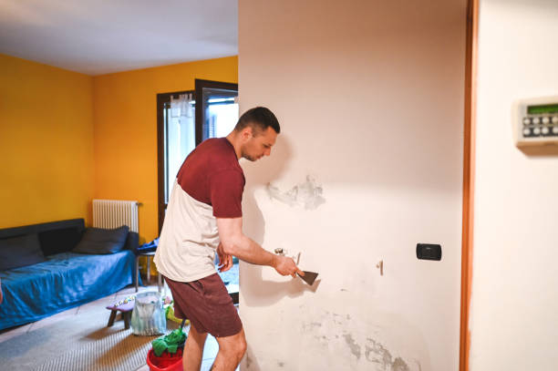 Best Post-Flood Mold Remediation in Bear, DE